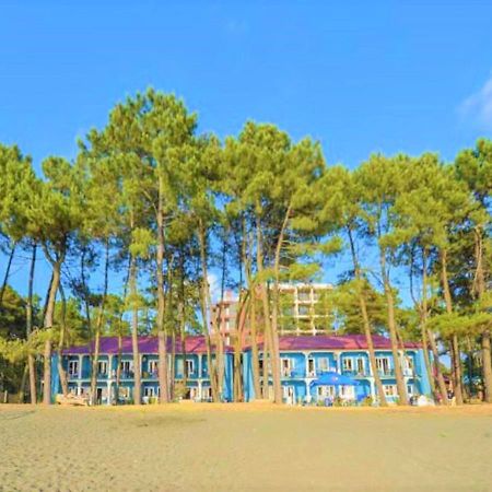 Evrika Hotel Shekvetili Exteriér fotografie