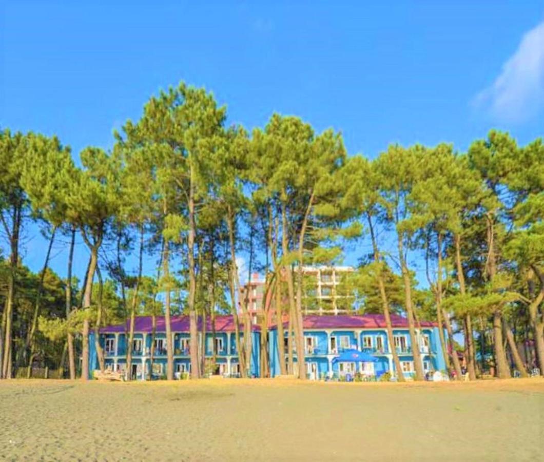 Evrika Hotel Shekvetili Exteriér fotografie