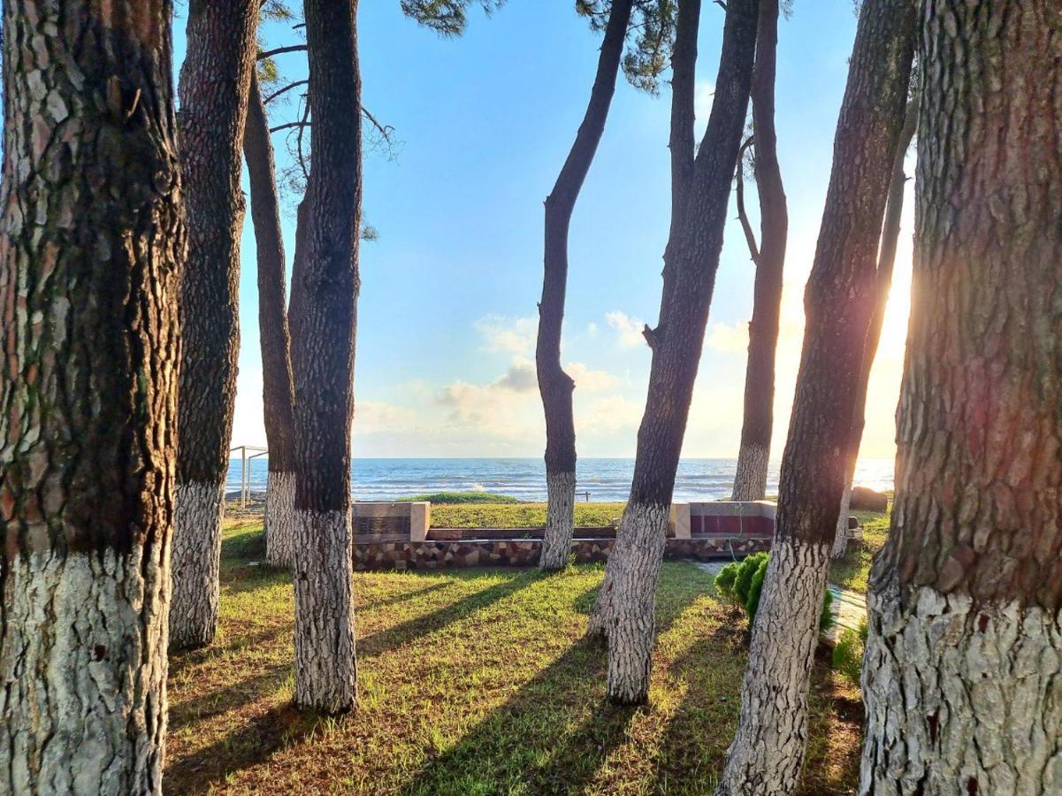 Evrika Hotel Shekvetili Exteriér fotografie