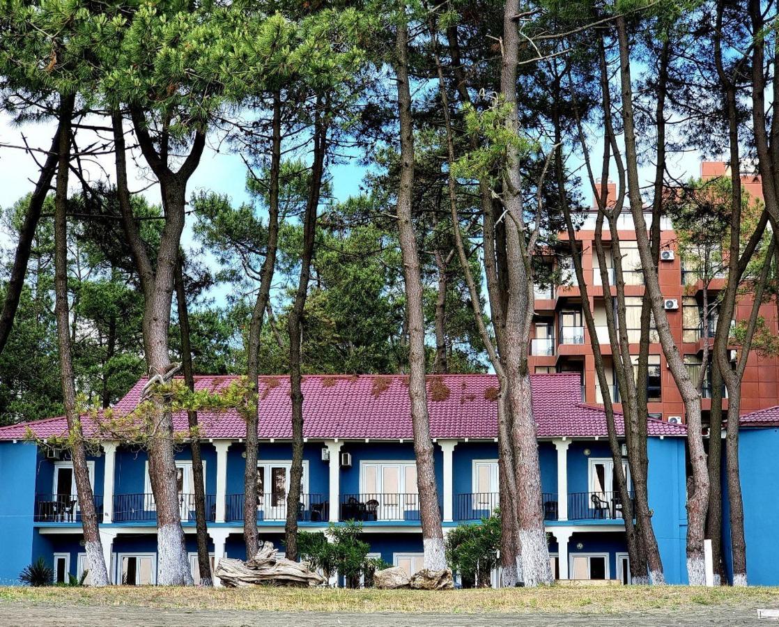 Evrika Hotel Shekvetili Exteriér fotografie